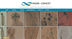 Desktop Screenshot of ingebi-conicet.gov.ar